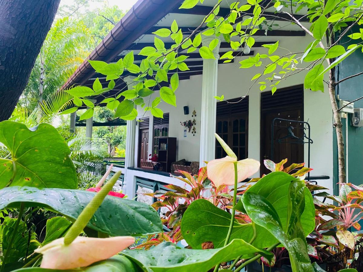 The Jungle Path Lodge Сигирия Экстерьер фото