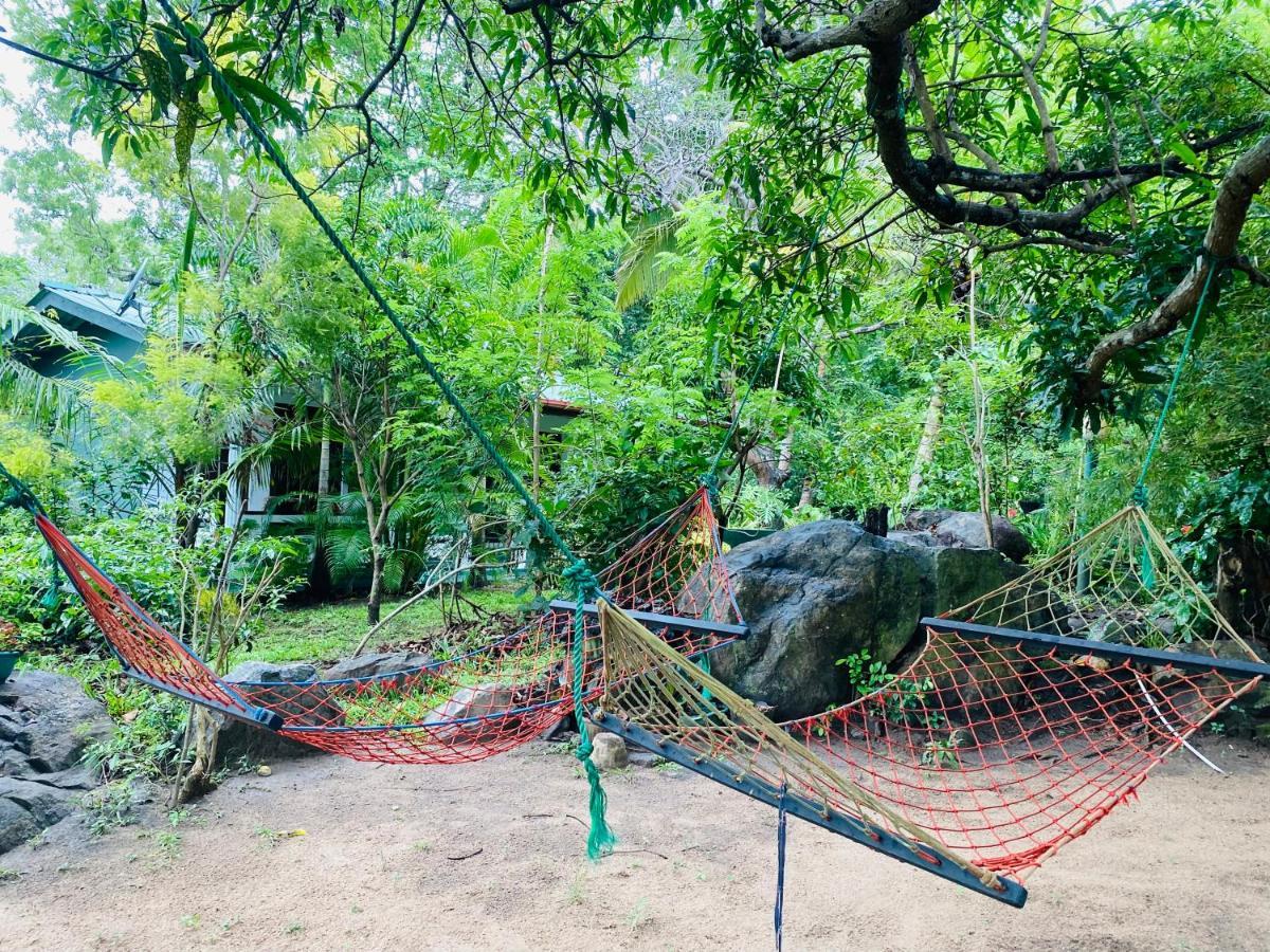 The Jungle Path Lodge Сигирия Экстерьер фото